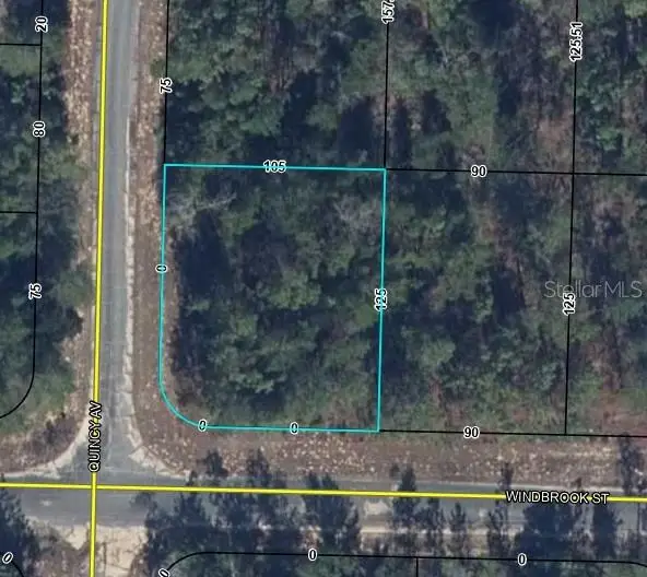 Windbrook Street, CHIPLEY, FL 32428