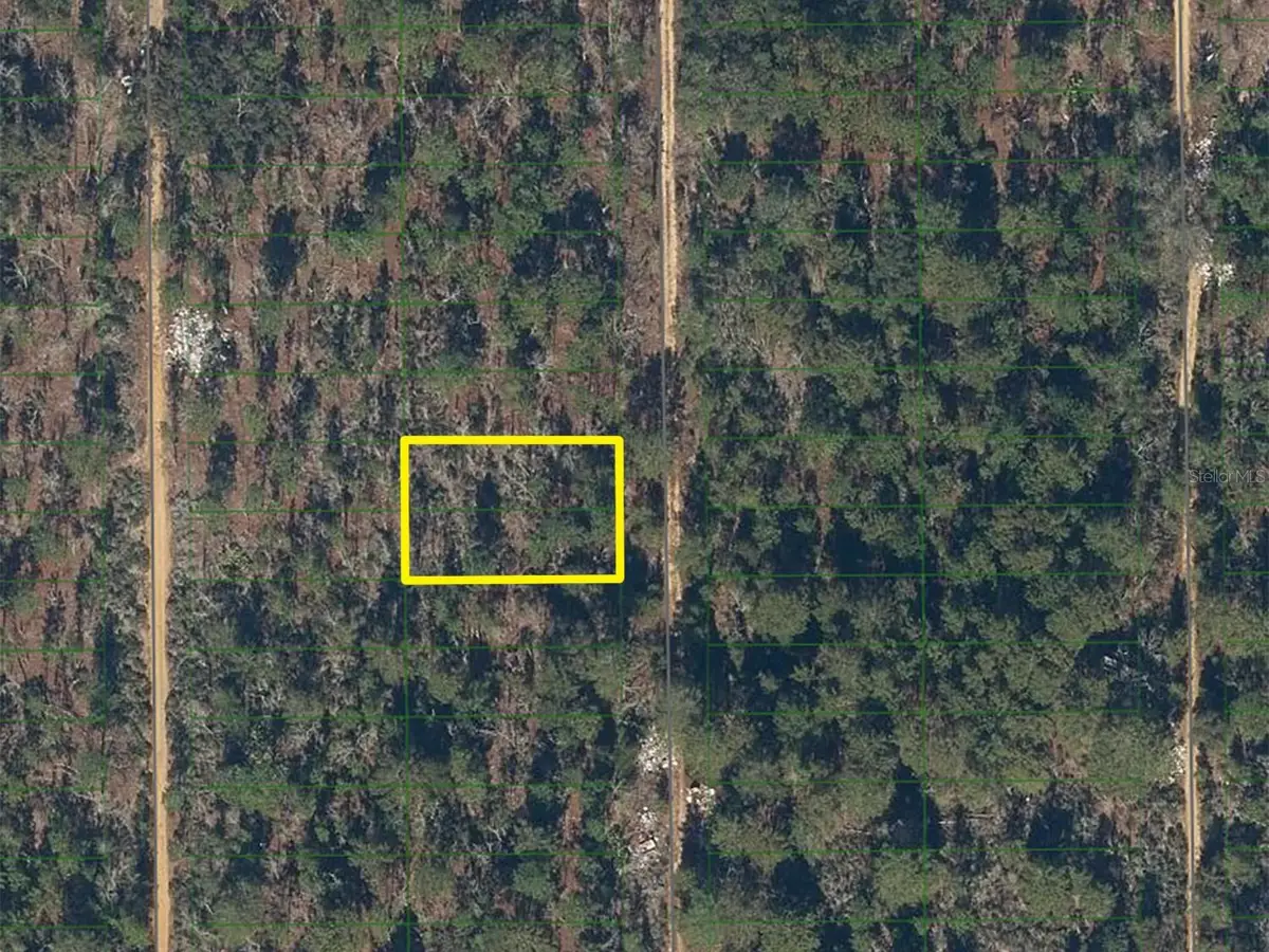 227 Maple Street, Interlachen, FL 32148 - #1