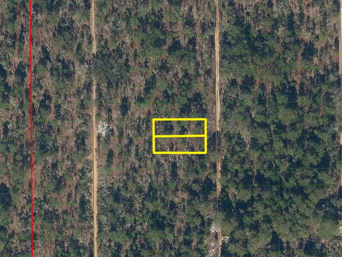 233 Maple Street, Interlachen, FL 32148 - #1