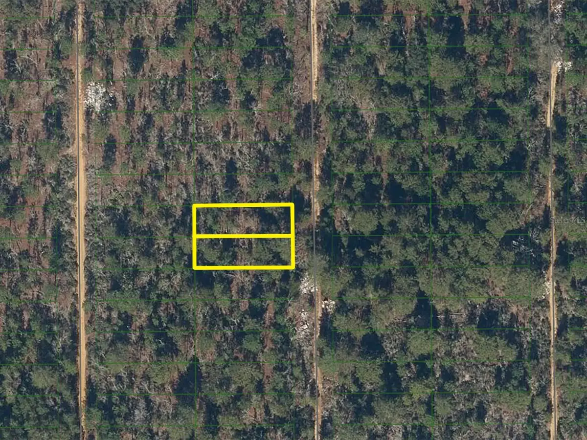 225 Maple Street, Interlachen, FL 32148 - #1