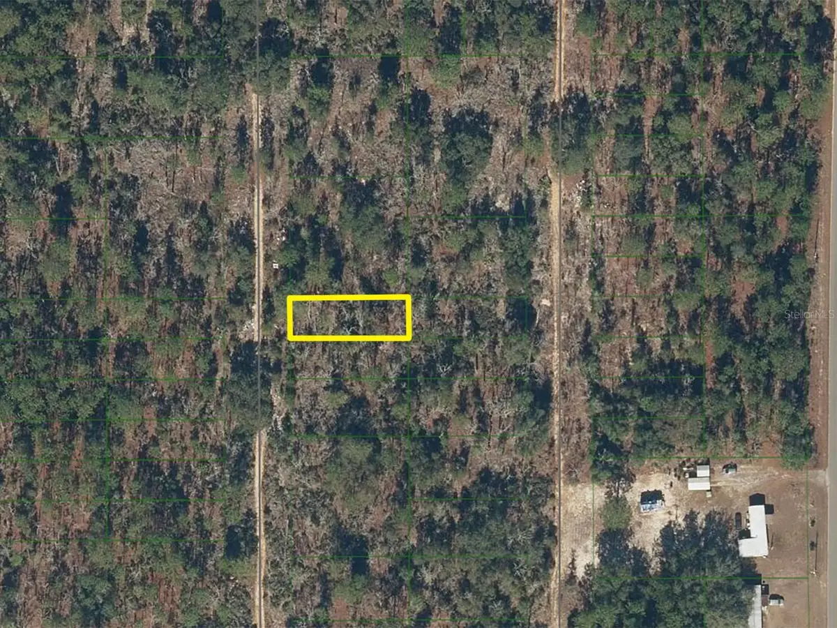 132 Pine Way, Interlachen, FL 32148 - #1