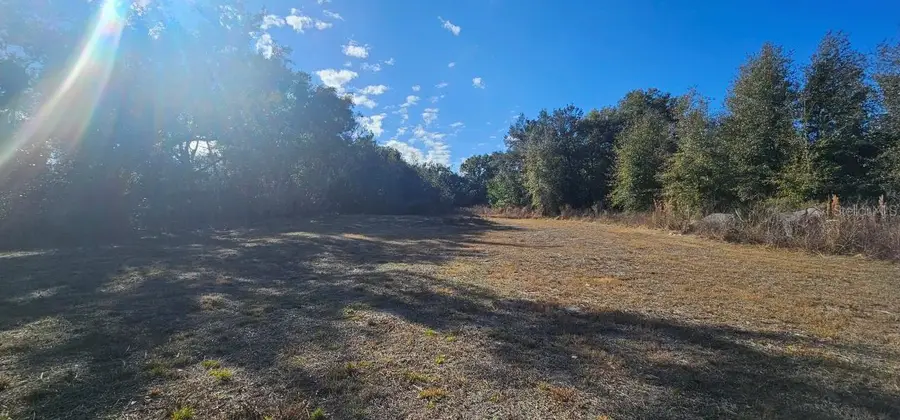 E Cleveland Street, Apopka, FL 32703 - #3