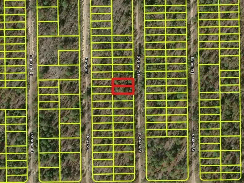 427 Dothan Street, Interlachen, FL 32148 - #1