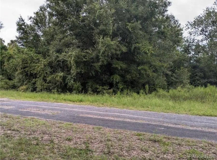 9360 N Dallas Way, Citrus Springs, FL 34434 - #3