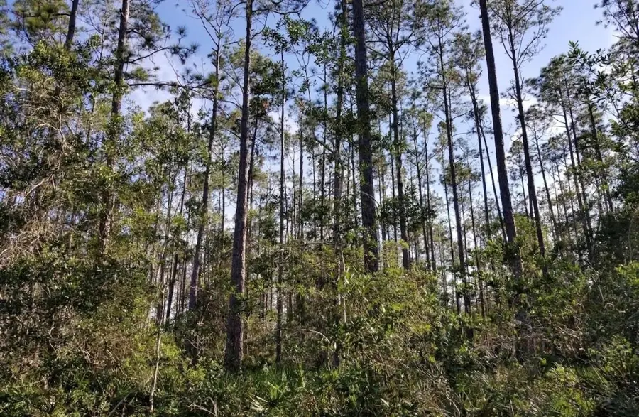 3775 Breezy Court, Ormond Beach, FL 32174 - #3