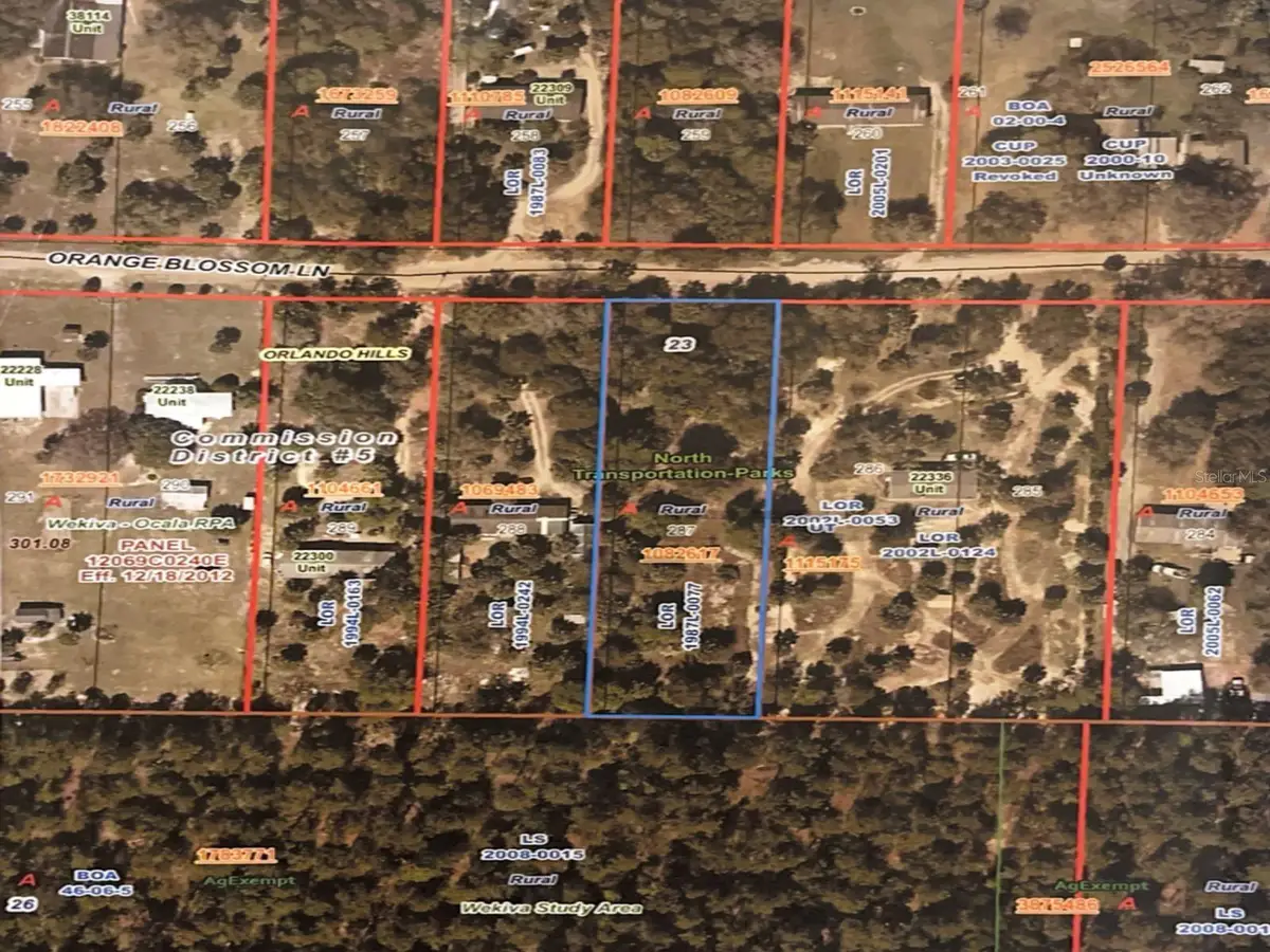 Orange Blossom Lane, Eustis, FL 32736 - #1