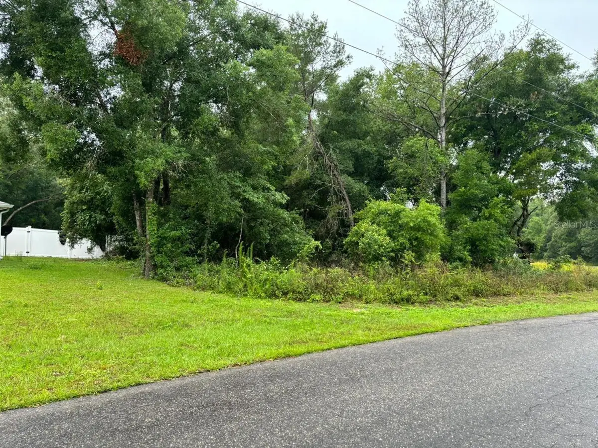1 Guava Pass Trail, Ocklawaha, FL 32179 - #1
