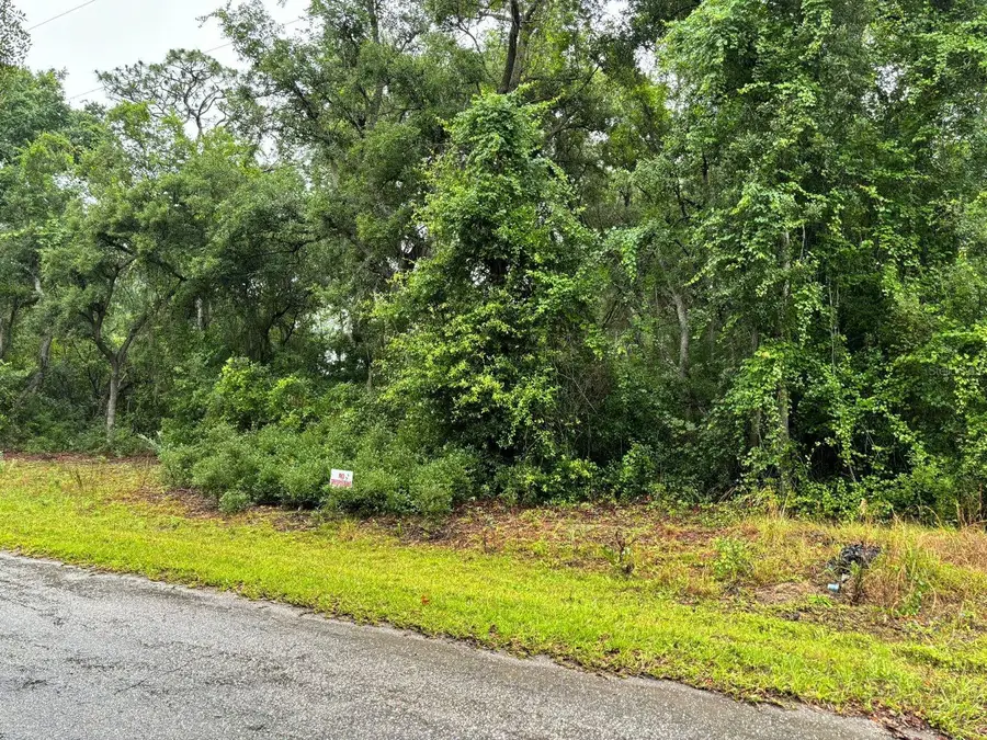 11 Fisher Way Course, Ocklawaha, FL 32179 - #3