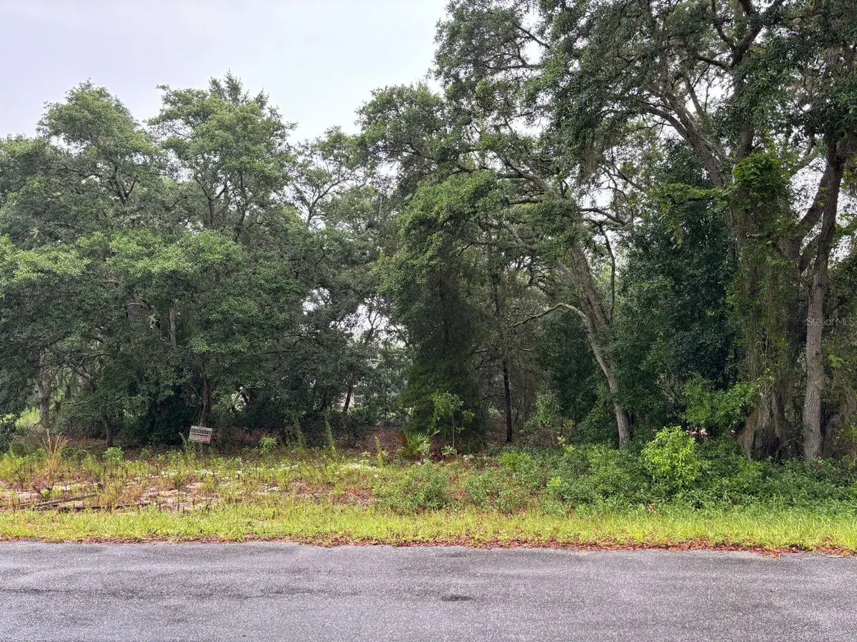 7 Fisher Way Drive, Ocklawaha, FL 32179 - #1