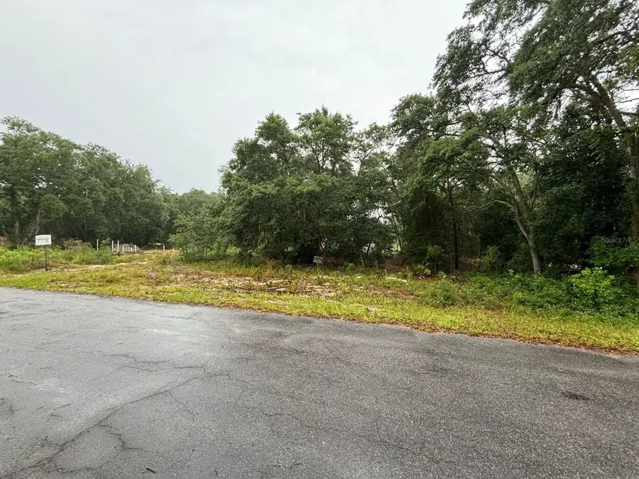 7 Fisher Way Drive, Ocklawaha, FL 32179 - #3