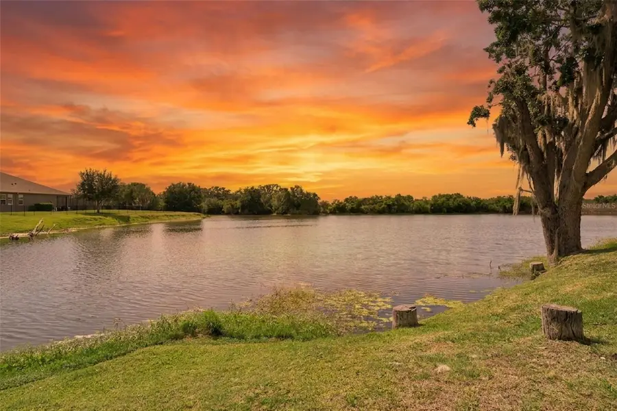 15196 Lake Claire Overlook Drive, Winter Garden, FL 34787 - #2