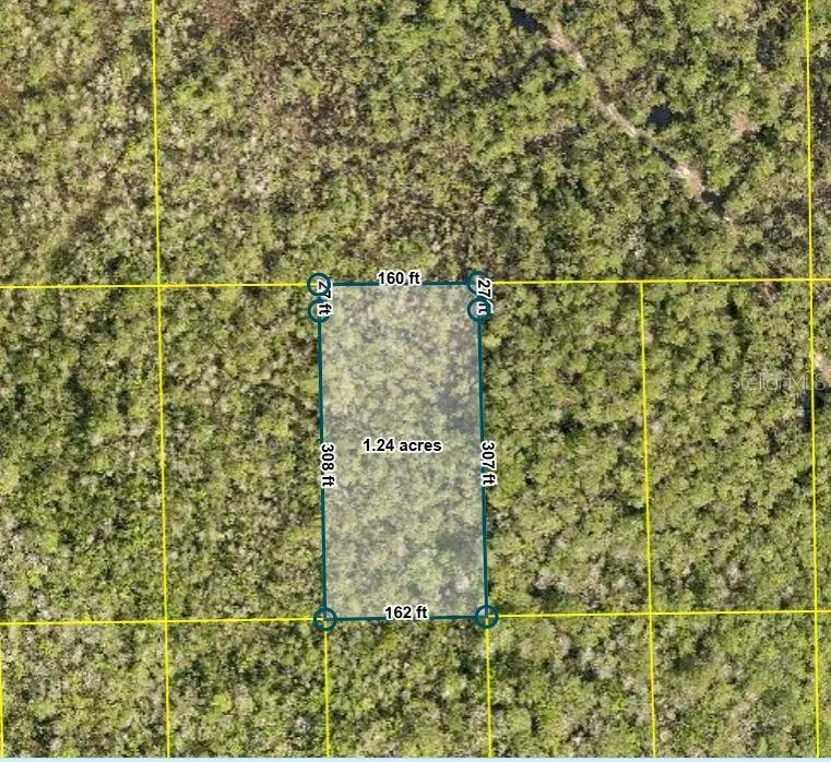 No Street, Deland, FL 32724 - #1