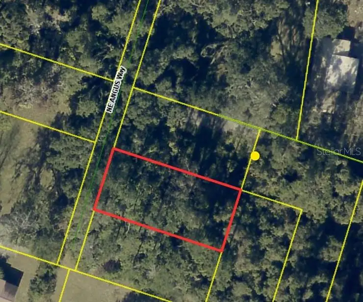 0 NE Angus Way, Lake City, FL 32055 - #1