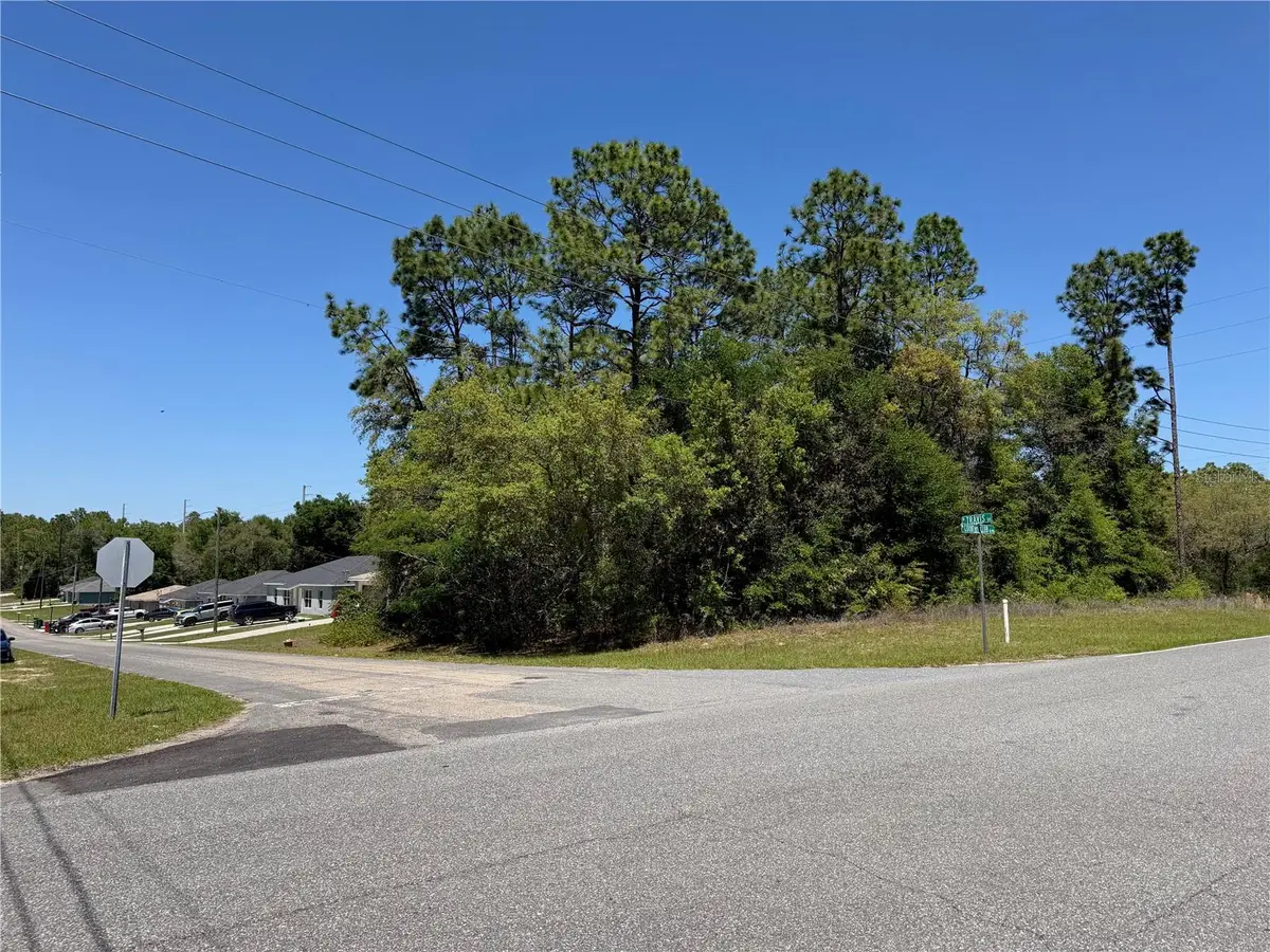 8975 N Travis Drive, Citrus Springs, FL 34434 - #1
