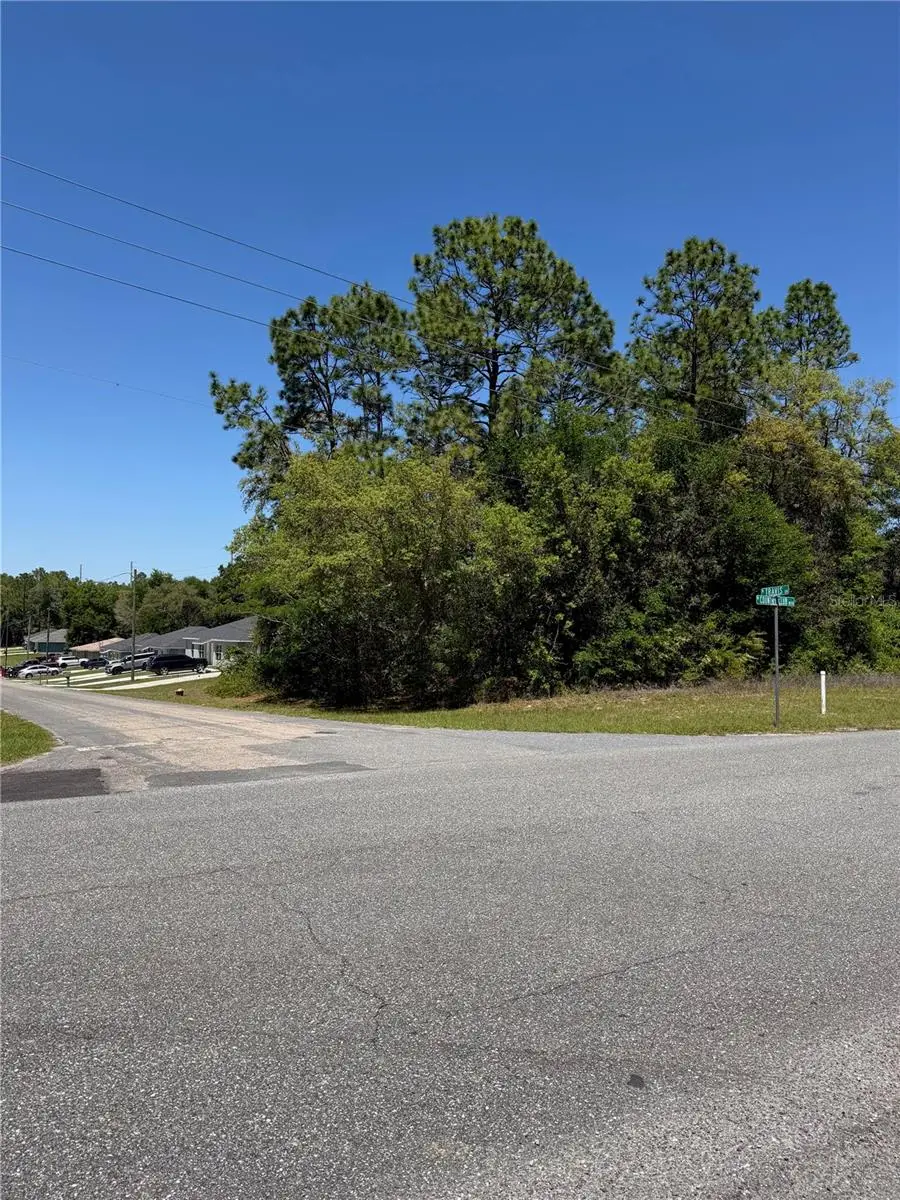 8975 N Travis Drive, Citrus Springs, FL 34434 - #2