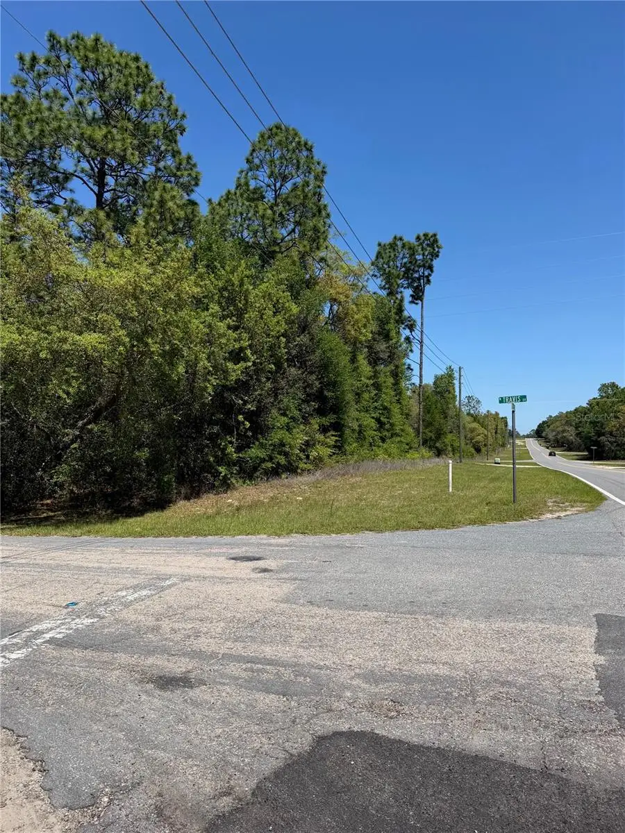 8975 N Travis Drive, Citrus Springs, FL 34434 - #3
