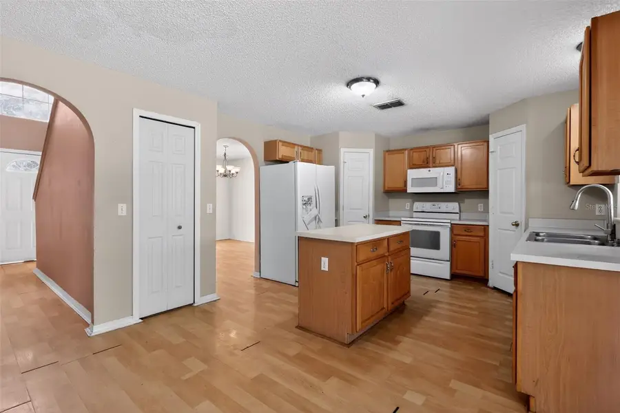 307 Pleasant Gardens Drive, Apopka, FL 32703 - #2