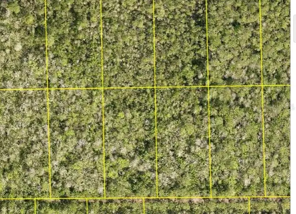 Pid 710801150230 No Street, DELAND, FL 32724