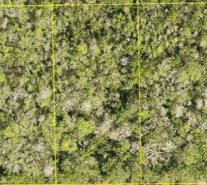 Pid 710801150220 No Street, Deland, FL 32724 - #1
