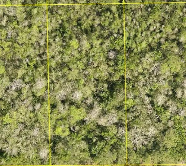 Pid 710801150220 No Street, DELAND, FL 32724