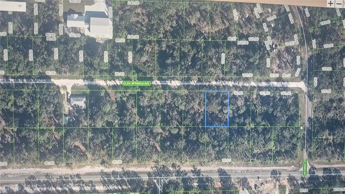 3216 Glen Springs Avenue, Lake Placid, FL 33852 - #1