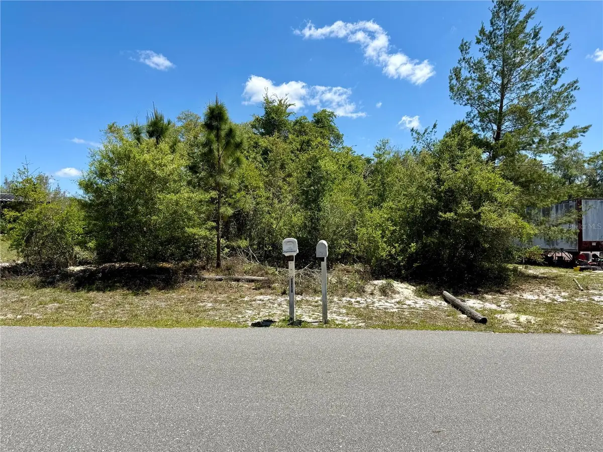 Benton Drive, Eustis, FL 32736 - #1