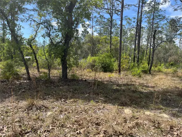 NE 96 Avenue #LOT 5, BRONSON, FL 32621
