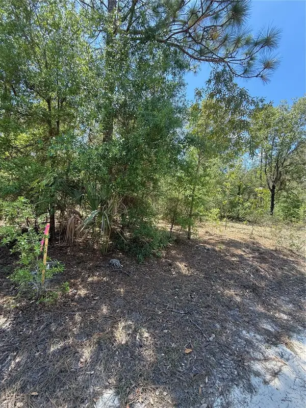 NE 118th Lane, BRONSON, FL 32621