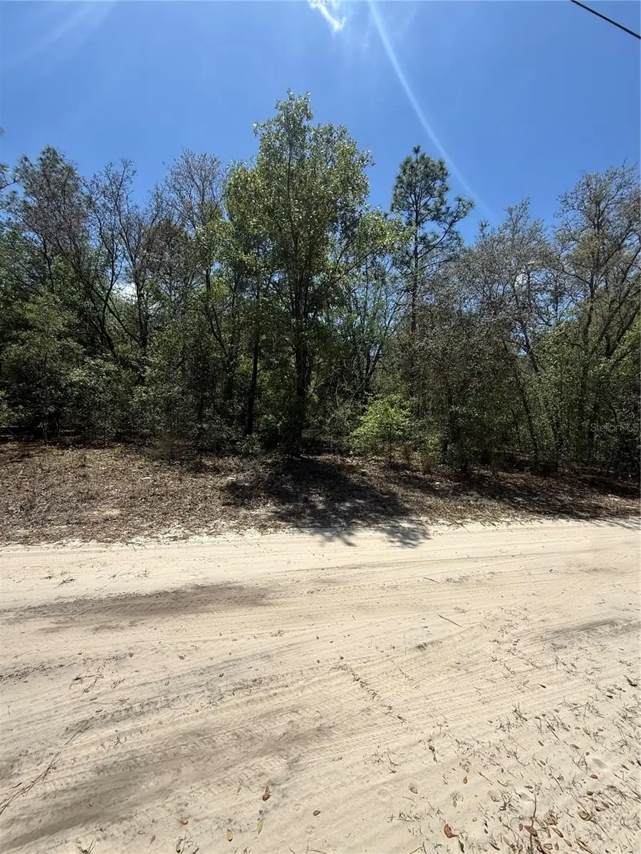 NE 118th Lane, Bronson, FL 32621 - #3