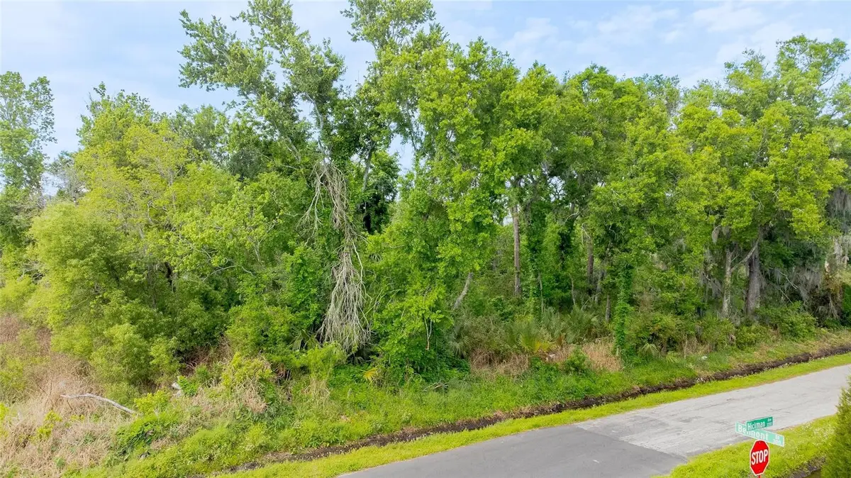 Hickman Avenue, Plant City, FL 33563 - #1