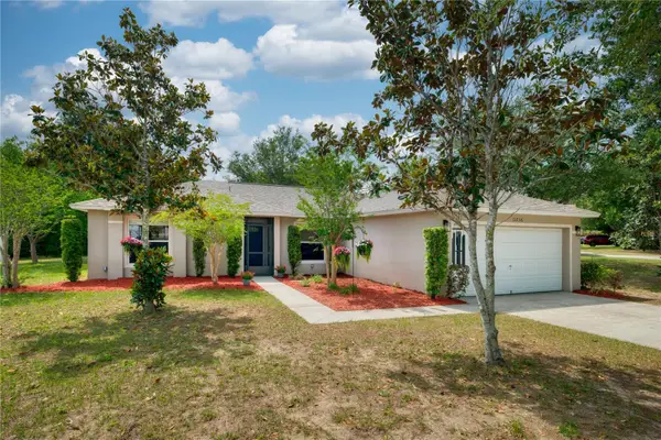 11736 Chapelle Court, CLERMONT, FL 34711