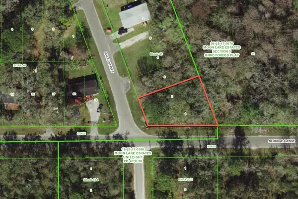 11000 Malati Street, NEW PORT RICHEY, FL 34654