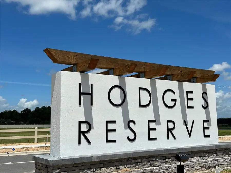 24562 Hodges Reserve Avenue, Howey In The Hills, FL 34737 - #2