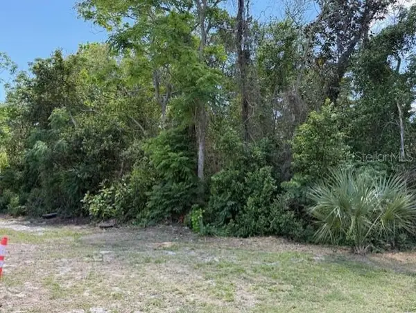 919 Trafalgar Street, DELTONA, FL 32725