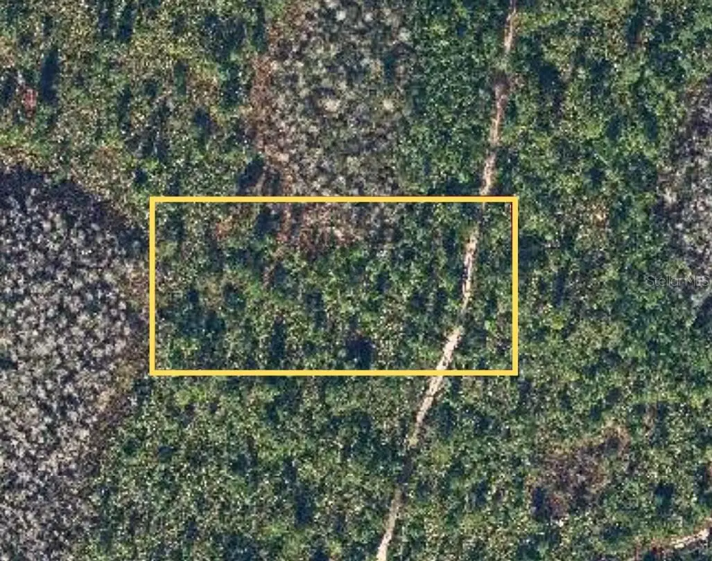 Dill Road, Christmas, FL 32709 - #1