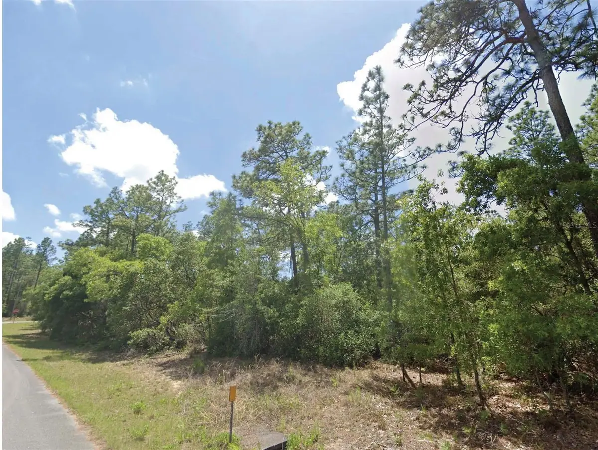 9164 N Gilbert Terrace, Dunnellon, FL 34433 - #1