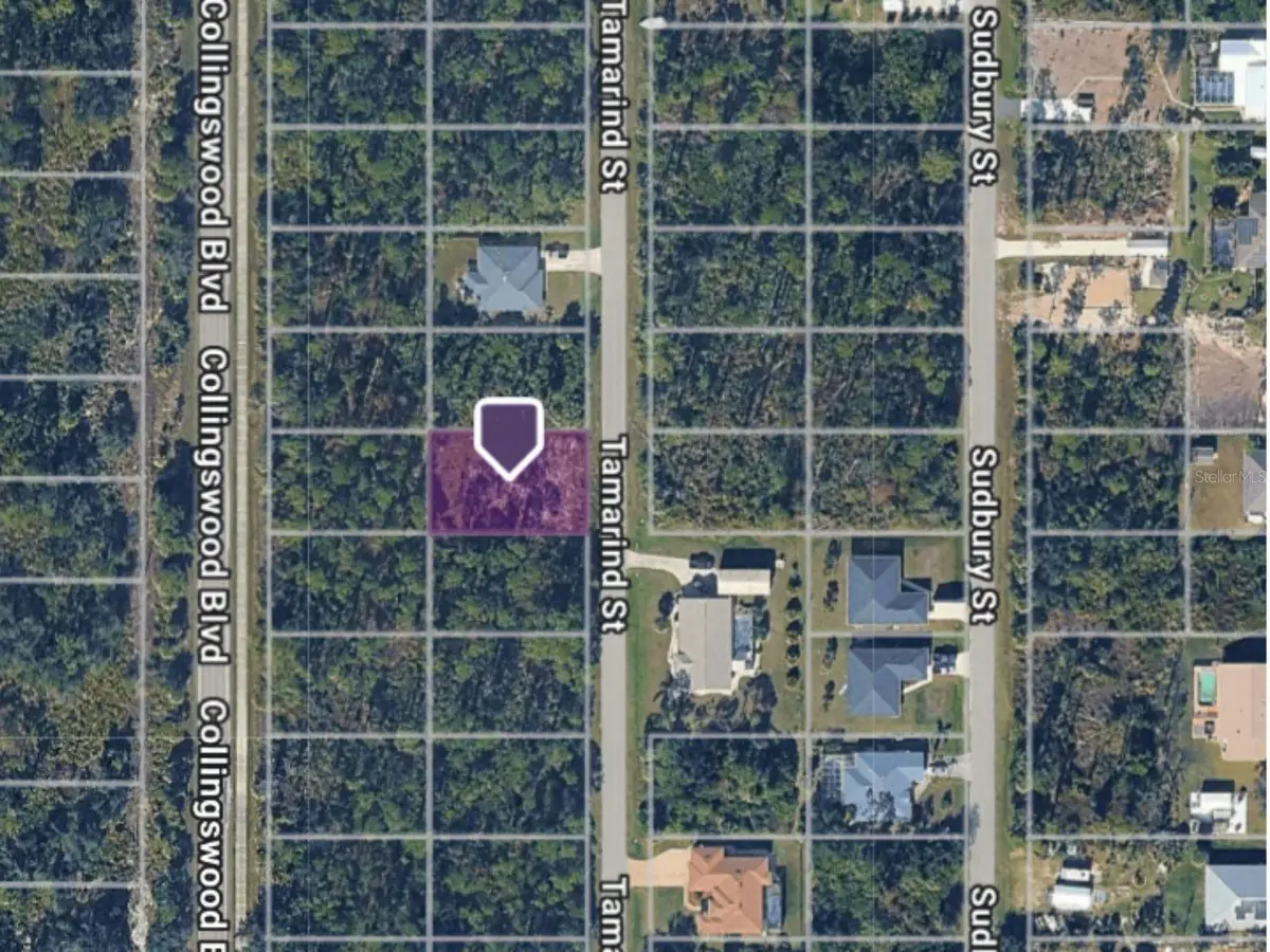 3133 Tamarind Street, Port Charlotte, FL 33948 - #1