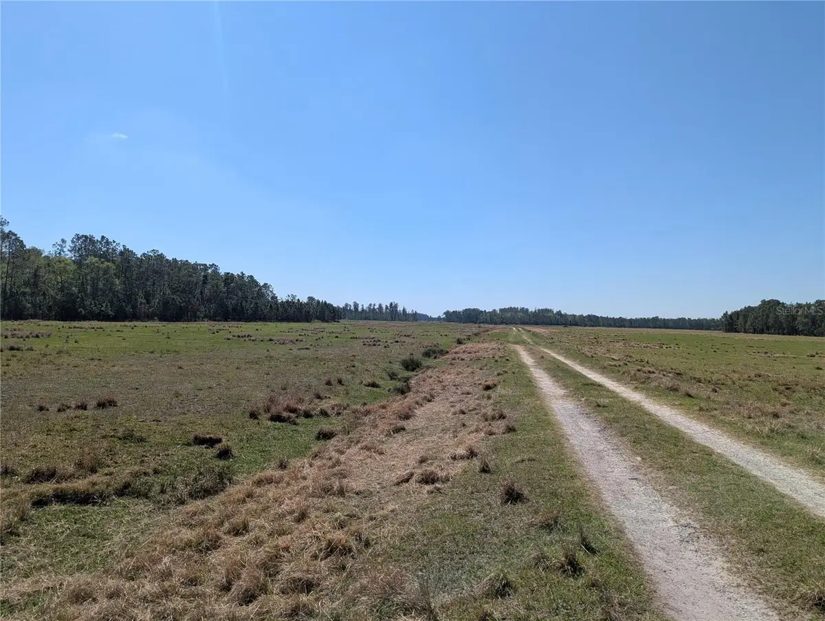Deen Still Road E, Polk City, FL 33868 - #1