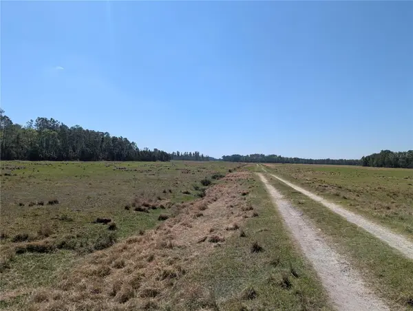 Deen Still Road E, POLK CITY, FL 33868