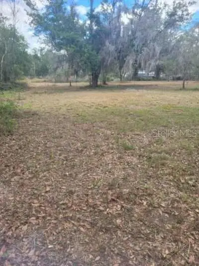0 Central Avenue, Mulberry, FL 33860 - #2