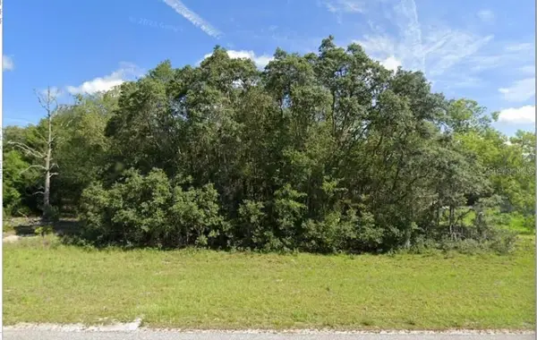 00 Malauka Rd #40, OCKLAWAHA, FL 32179