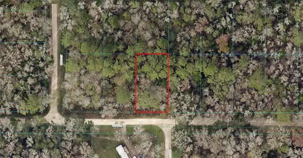 SW 13th Place, OCALA, FL 34481