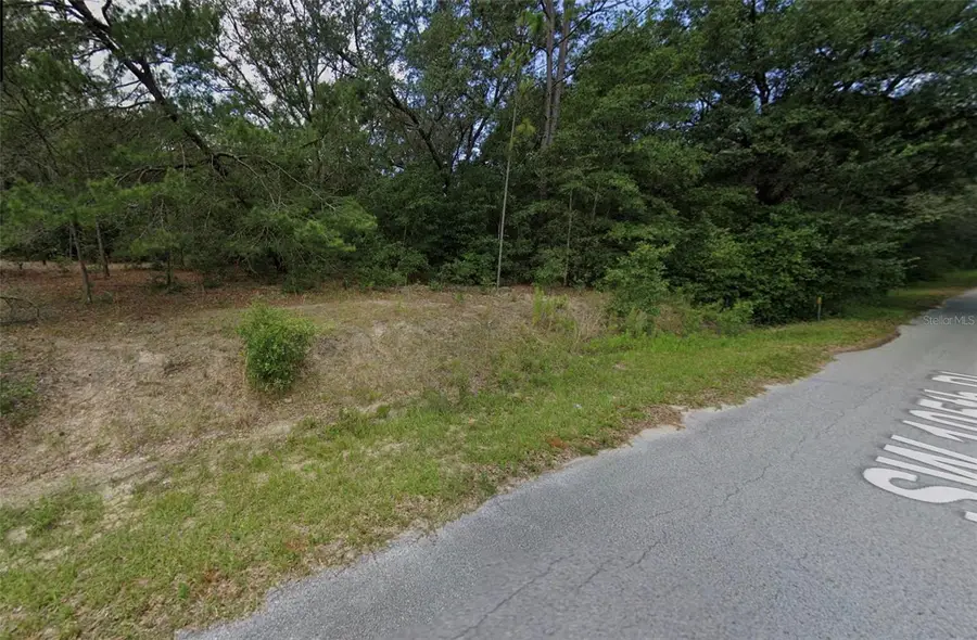SW 105th Place, Dunnellon, FL 34432 - #2