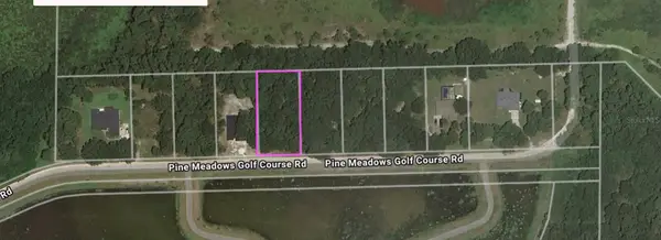 Pine Meadows Rd, EUSTIS, FL 32726