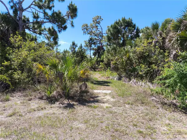 12289 Clarendon Avenue, PORT CHARLOTTE, FL 33981