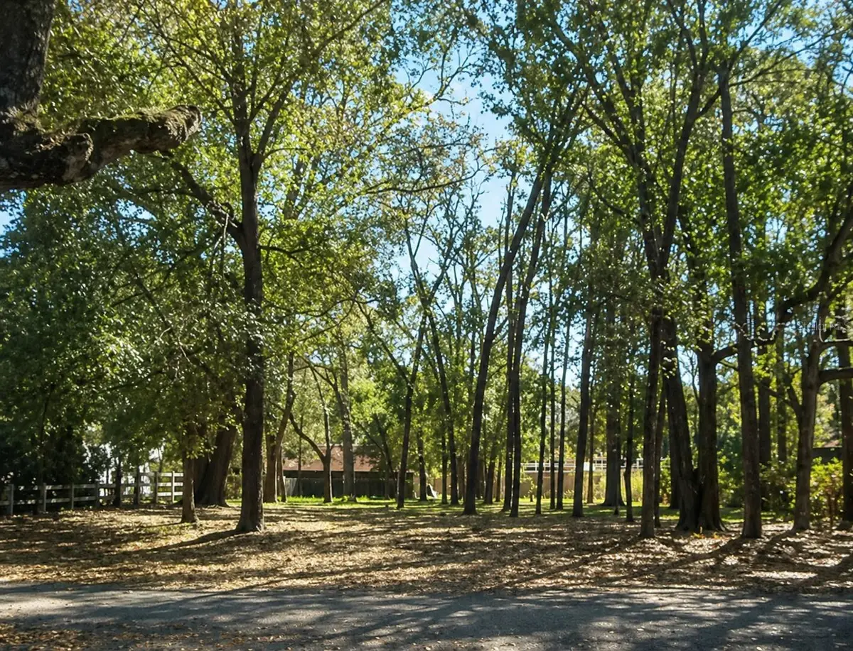 820 E Magnolia Drive, Altamonte Springs, FL 32701 - #1