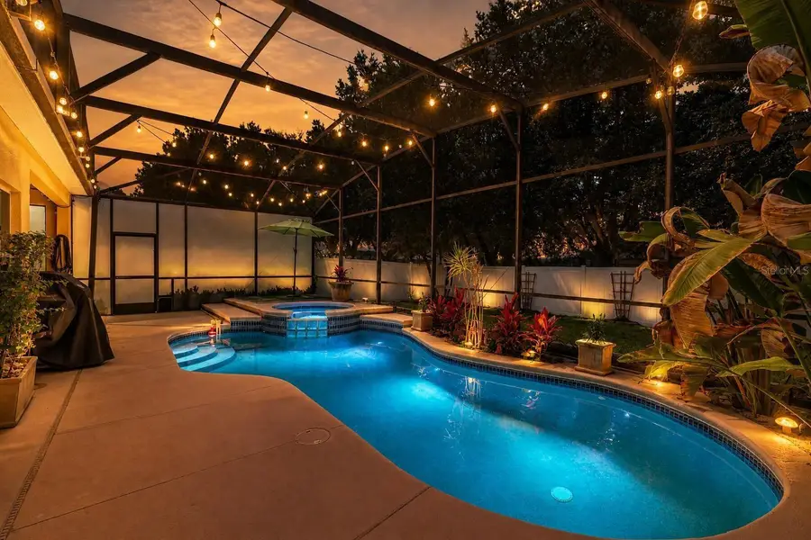 13842 Orange Crest Drive, Windermere, FL 34786 - #3