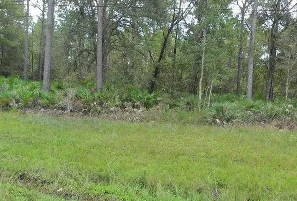 E Colonial Drive, CHRISTMAS, FL 32709