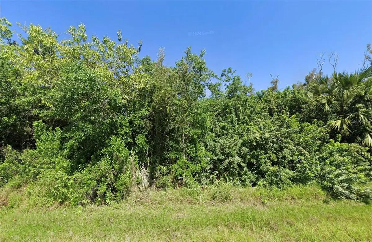 14276 Myakka Avenue, Port Charlotte, FL 33953 - #1