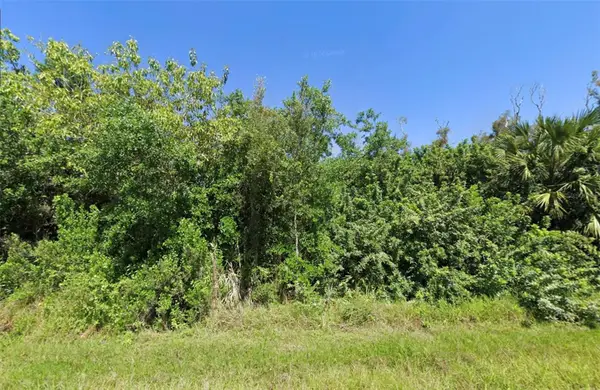 14276 Myakka Avenue, PORT CHARLOTTE, FL 33953